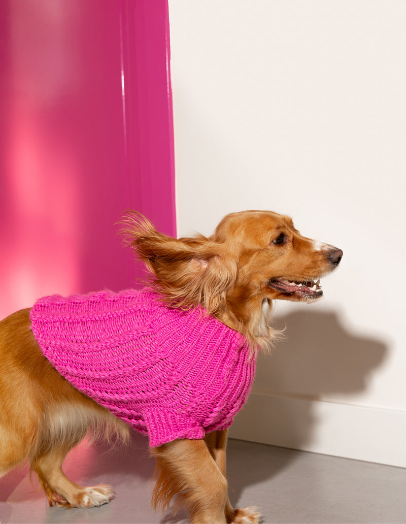 HONDEN SWEATER - ROZE