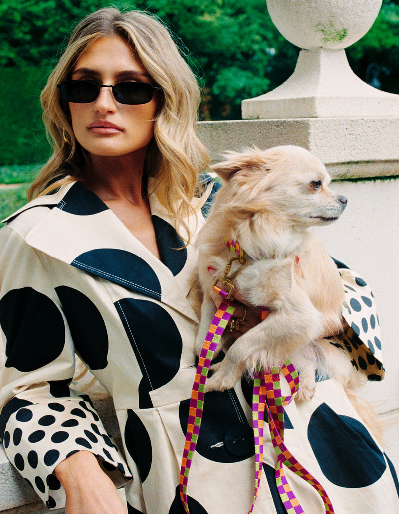 Vichy check leash