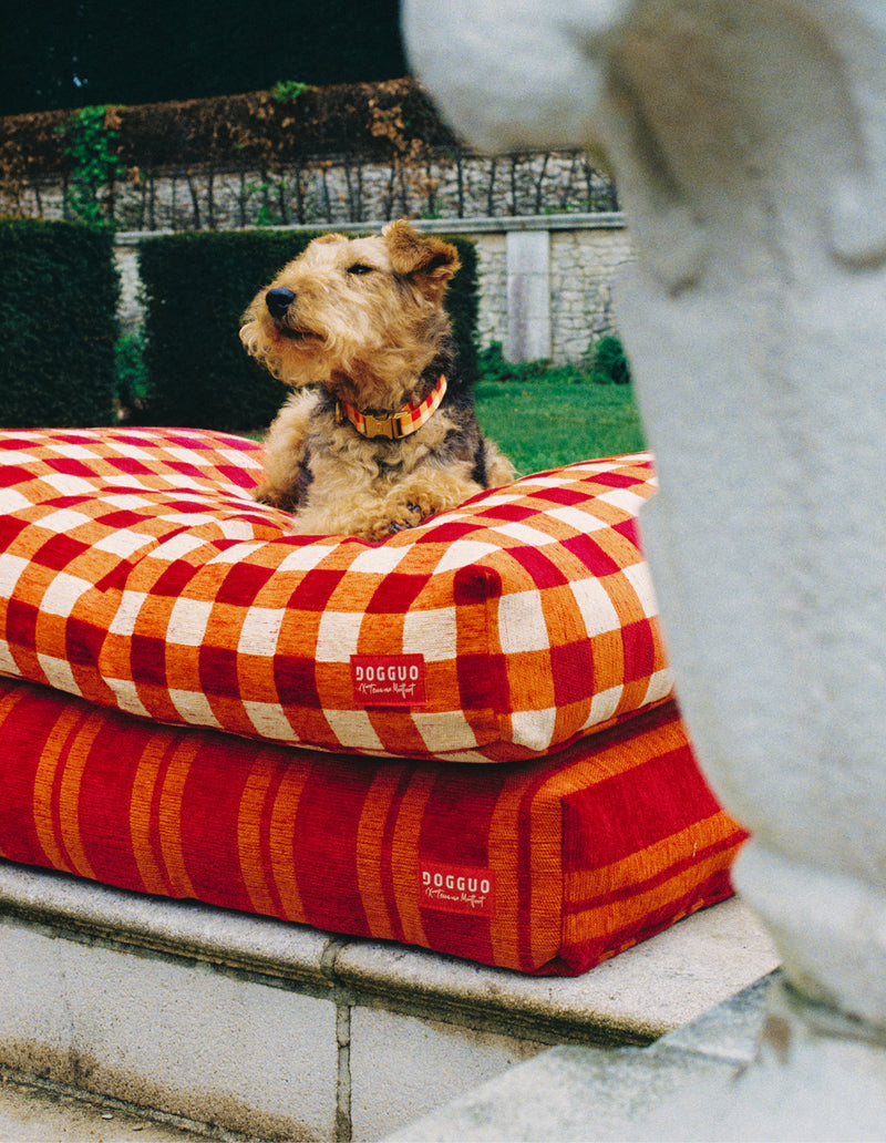 Stripe dog bed - red
