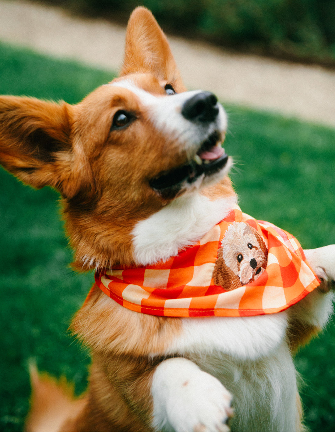 Vichy check bandana