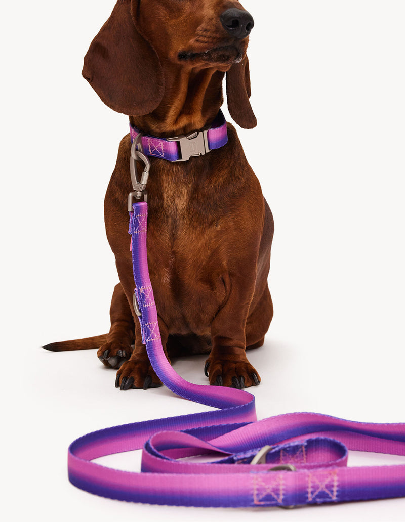 RIEM MET VERLOOP - ROZE / PAARS