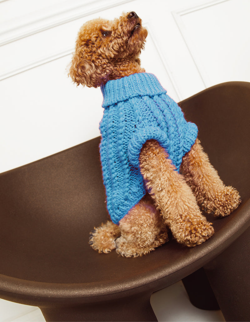 HONDEN SWEATER - BLAUW
