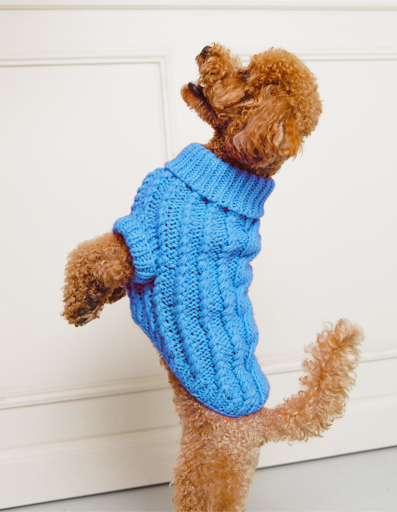 HONDEN SWEATER - BLAUW