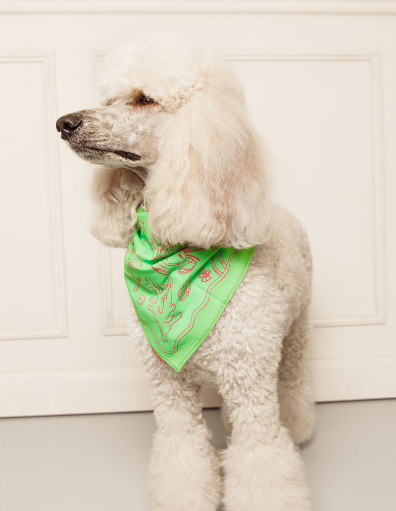 Bandana soleil - groen / roze