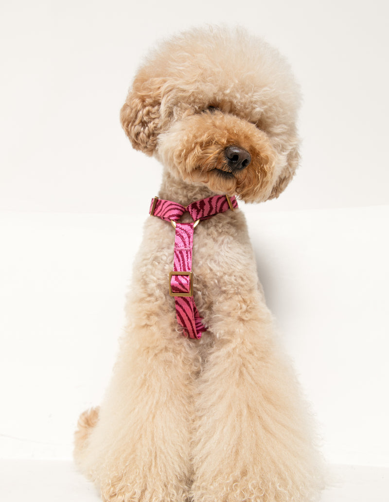 ZEBRA HARNESS - BORDEAUX/PINK