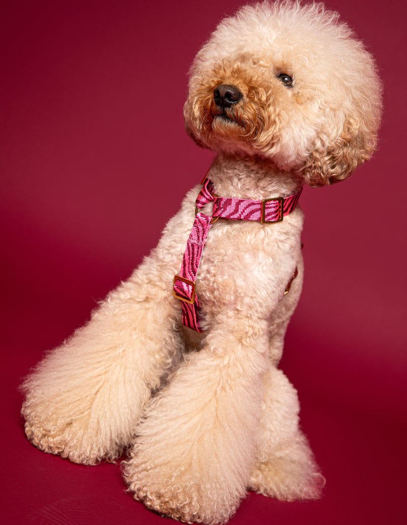 ZEBRA HARNESS - BORDEAUX/PINK