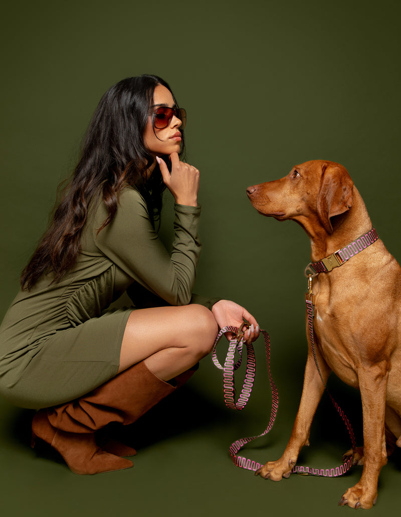 RETRO WAVE LEASH - GREEN/PINK