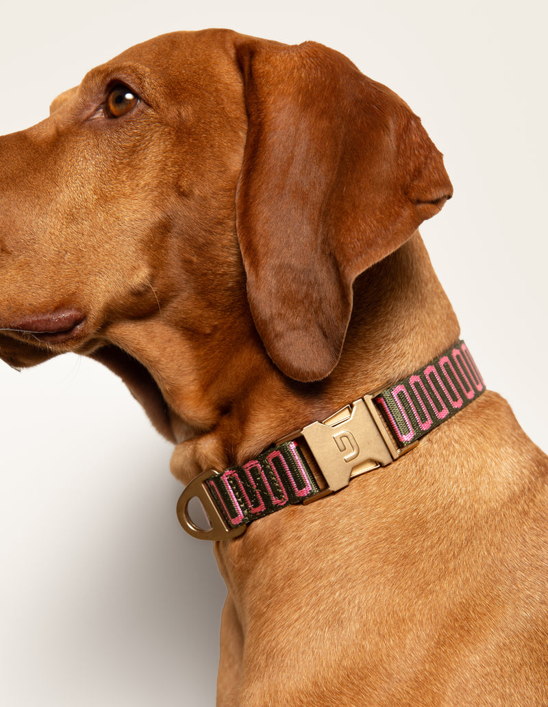 RETRO WAVE COLLAR - GREEN/PINK