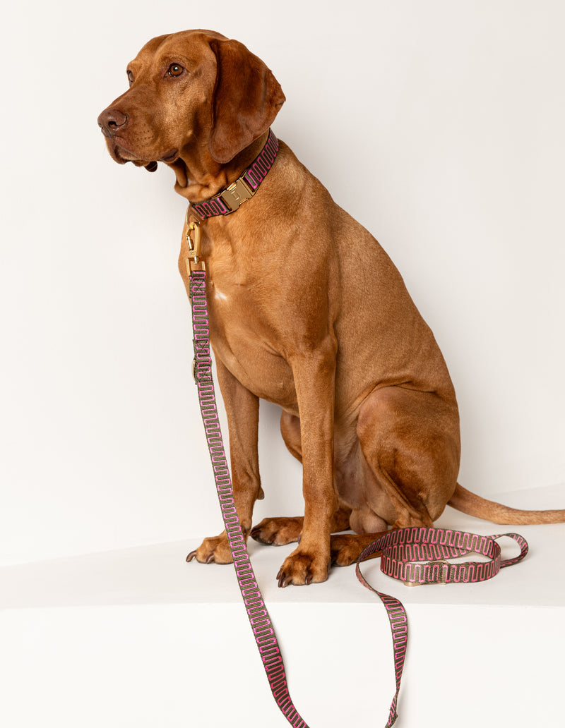 RETRO WAVE COLLAR - GREEN/PINK