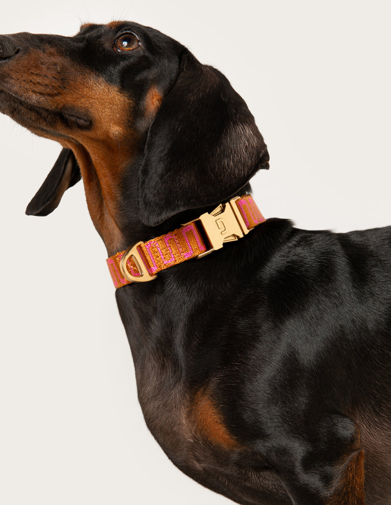 RETRO WAVE COLLAR - RUST/PINK