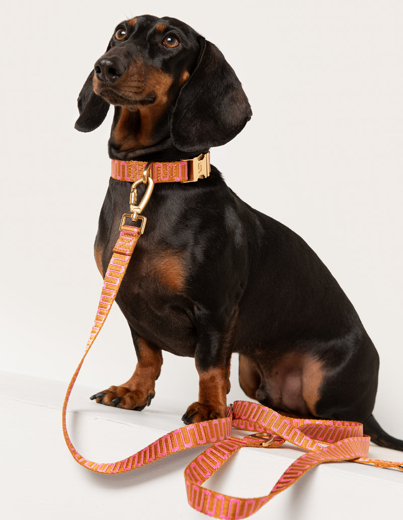 RETRO WAVE COLLAR - RUST/PINK