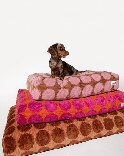 Dot dog bed second image