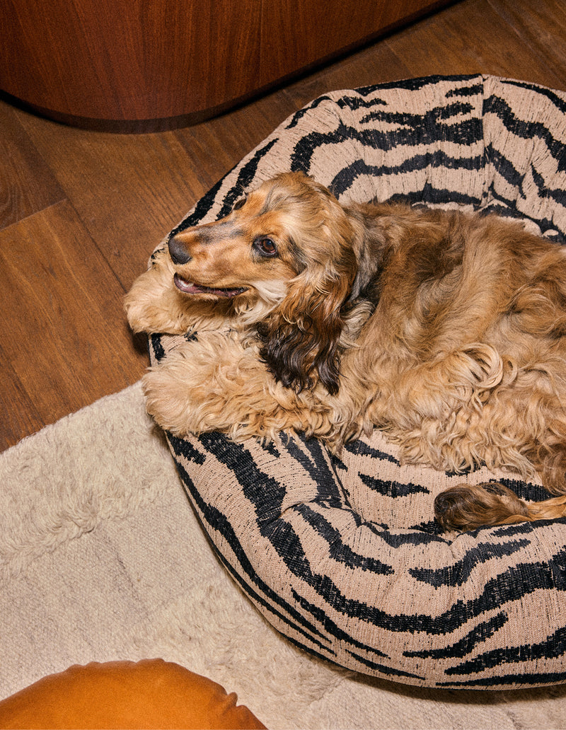 Zebra round dog bed