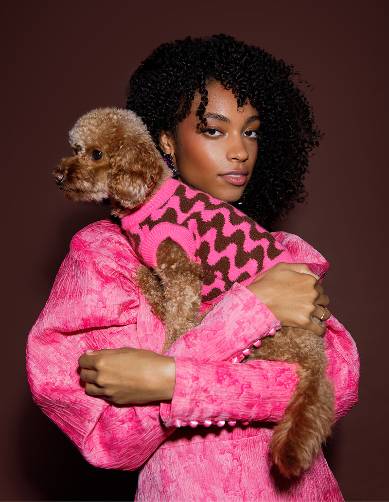 WAVEY HONDEN TRUI - BRUIN / ROZE