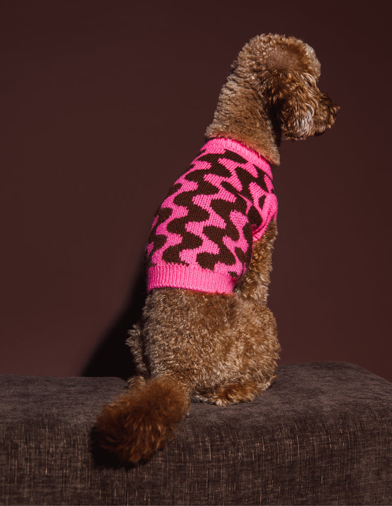 WAVEY HONDEN TRUI - BRUIN / ROZE