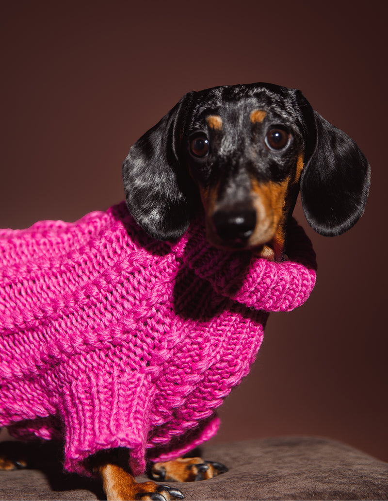 HONDEN SWEATER - ROZE
