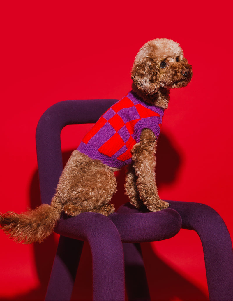 BLOCK DOG SWEATER - PURPLE / RED
