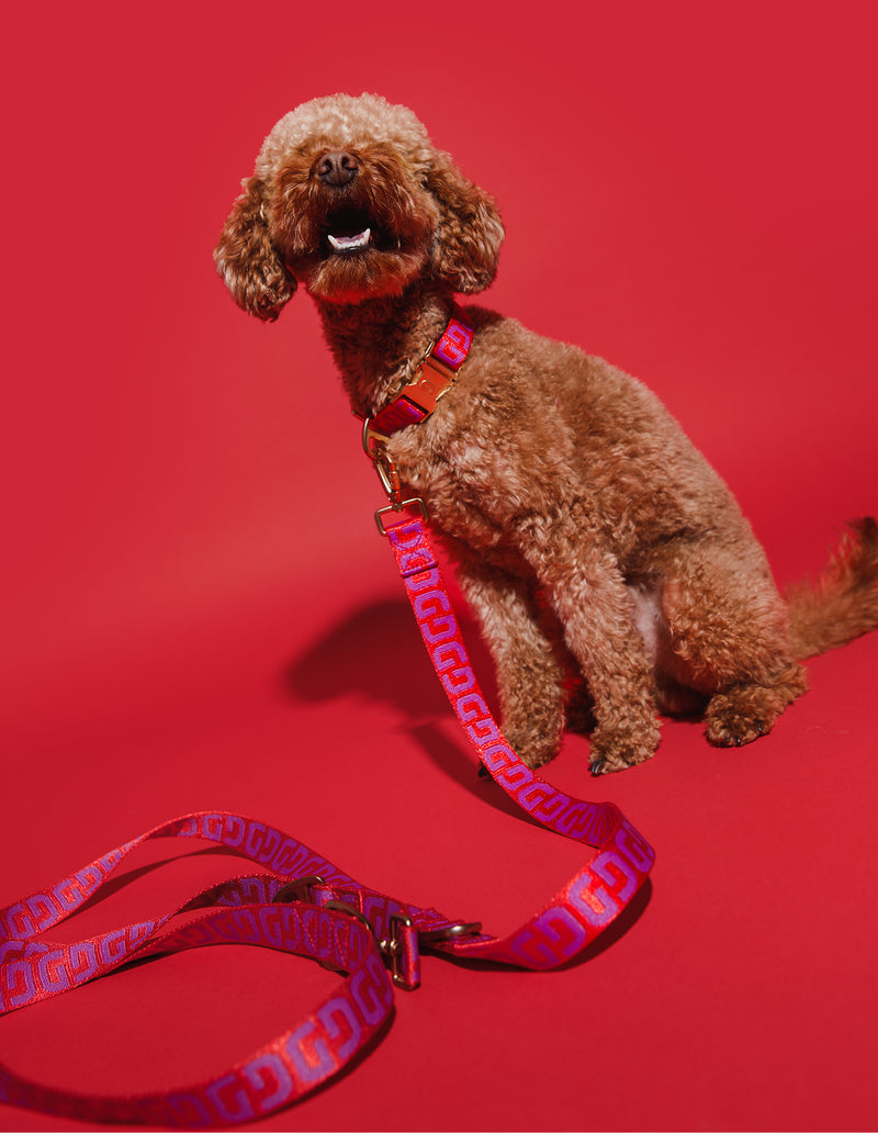 DG RIEM - ROOD / PAARS