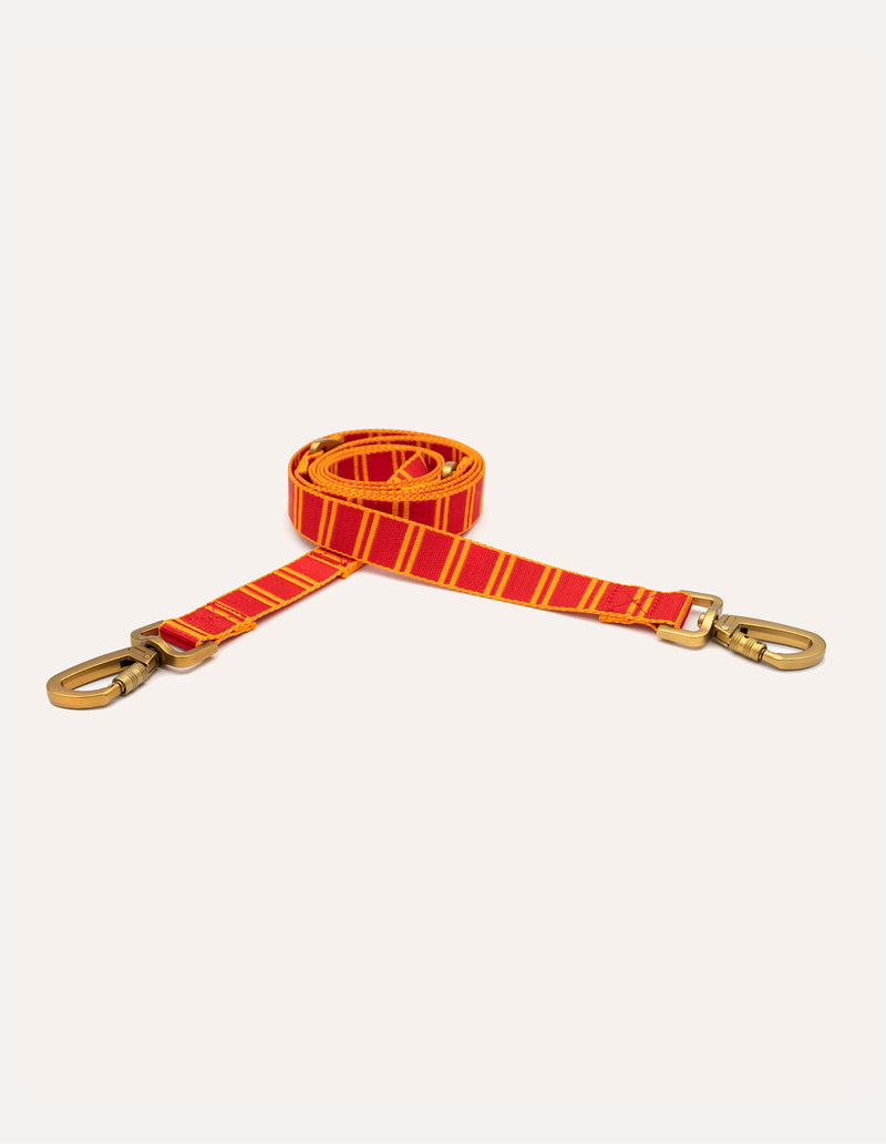 Stripe leash