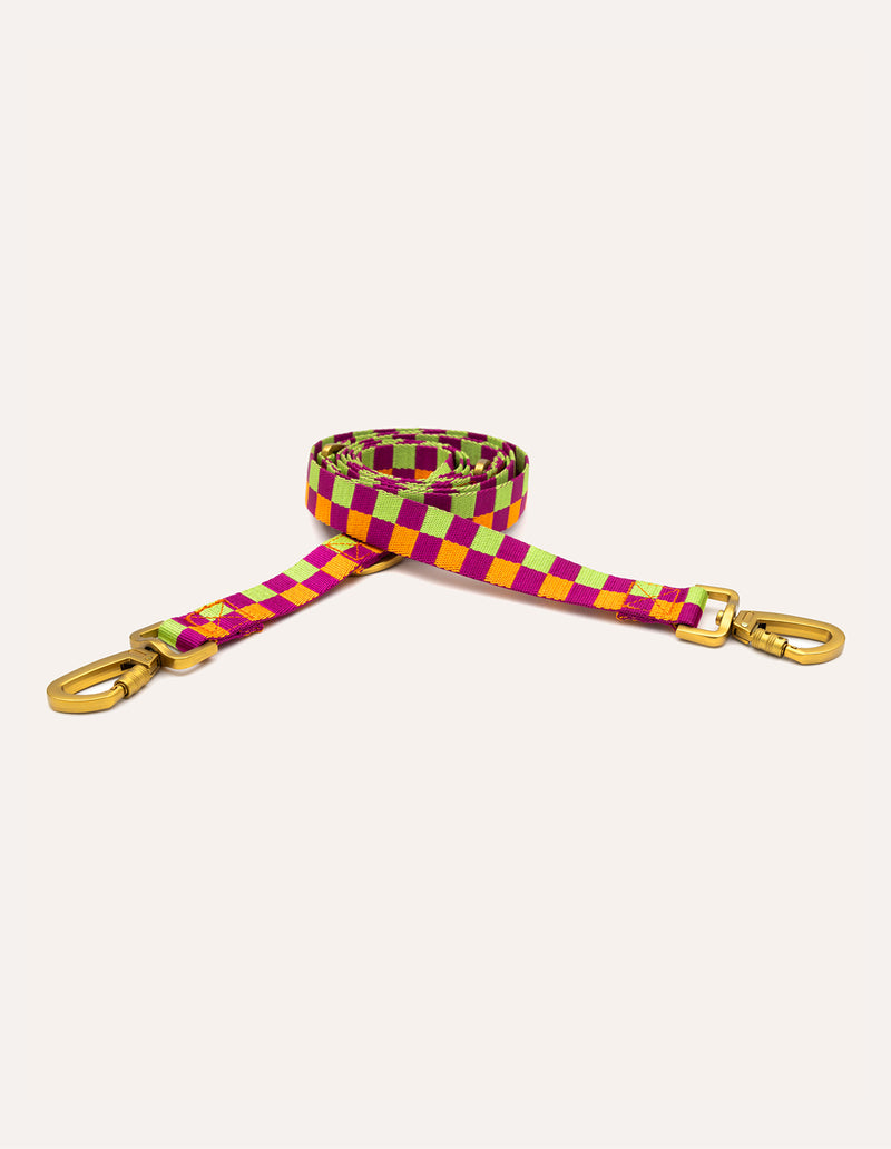 Vichy check leash
