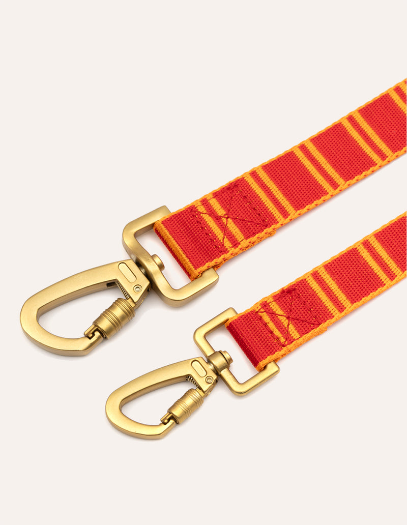 Stripe leash