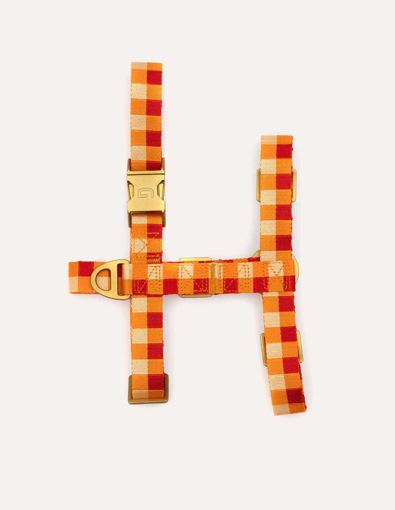 Vichy check harness