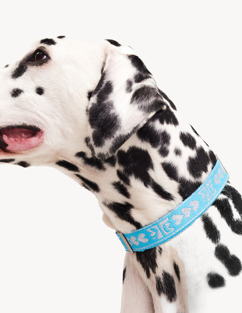 DL HALSBAND - BLAUW / ZILVER