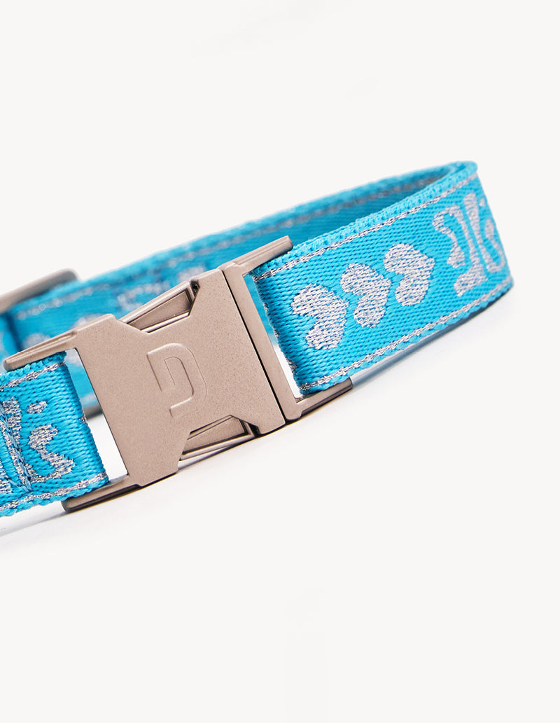 DL HALSBAND - BLAUW / ZILVER