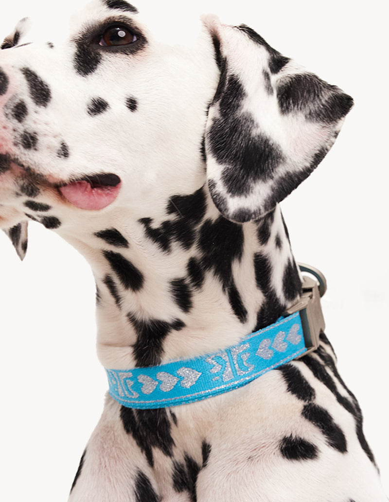 DL HALSBAND - BLAUW / ZILVER