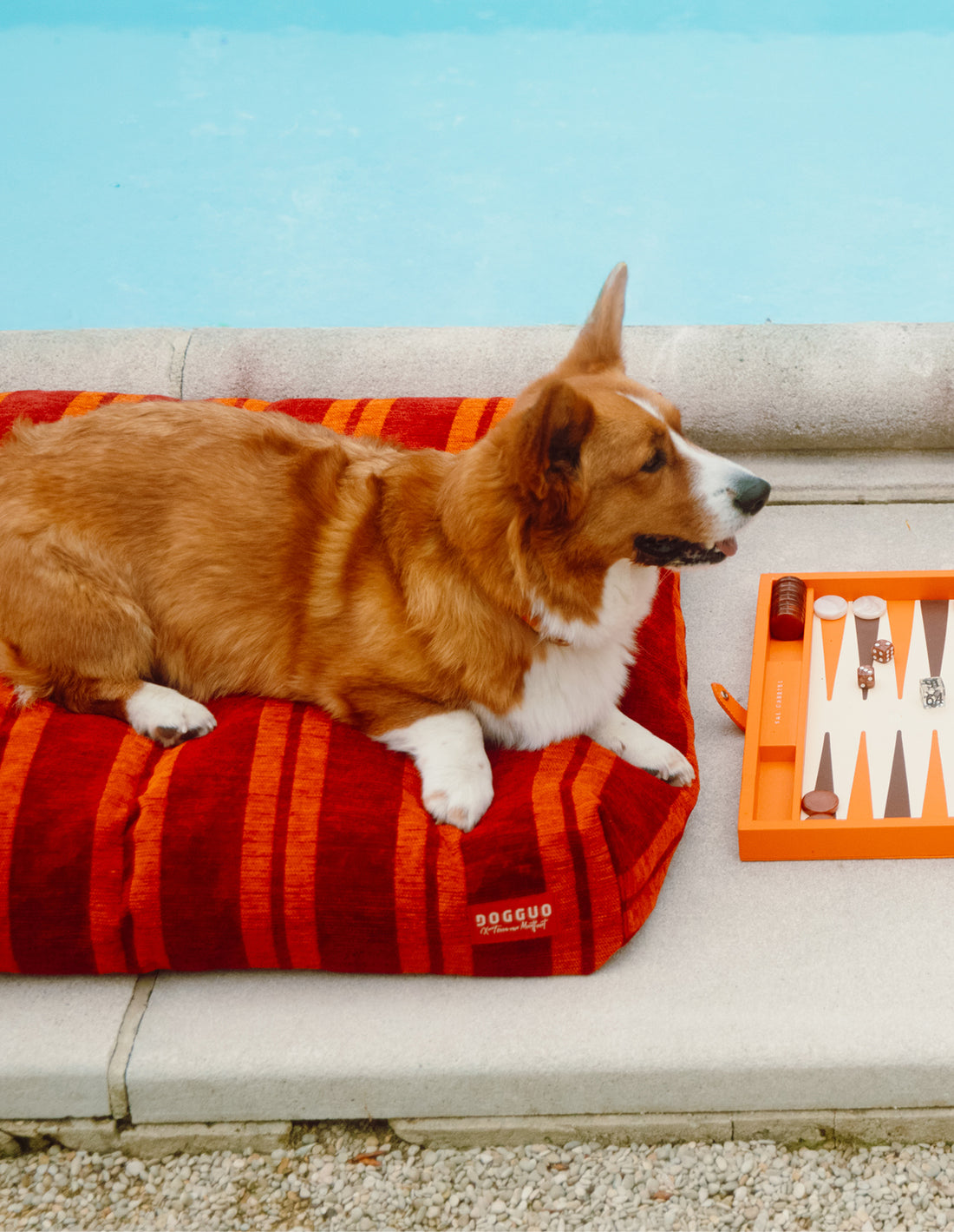 Stripe dog bed