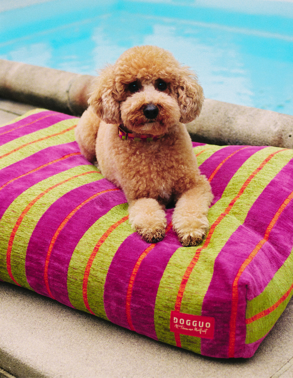 Stripe dog bed - magenta