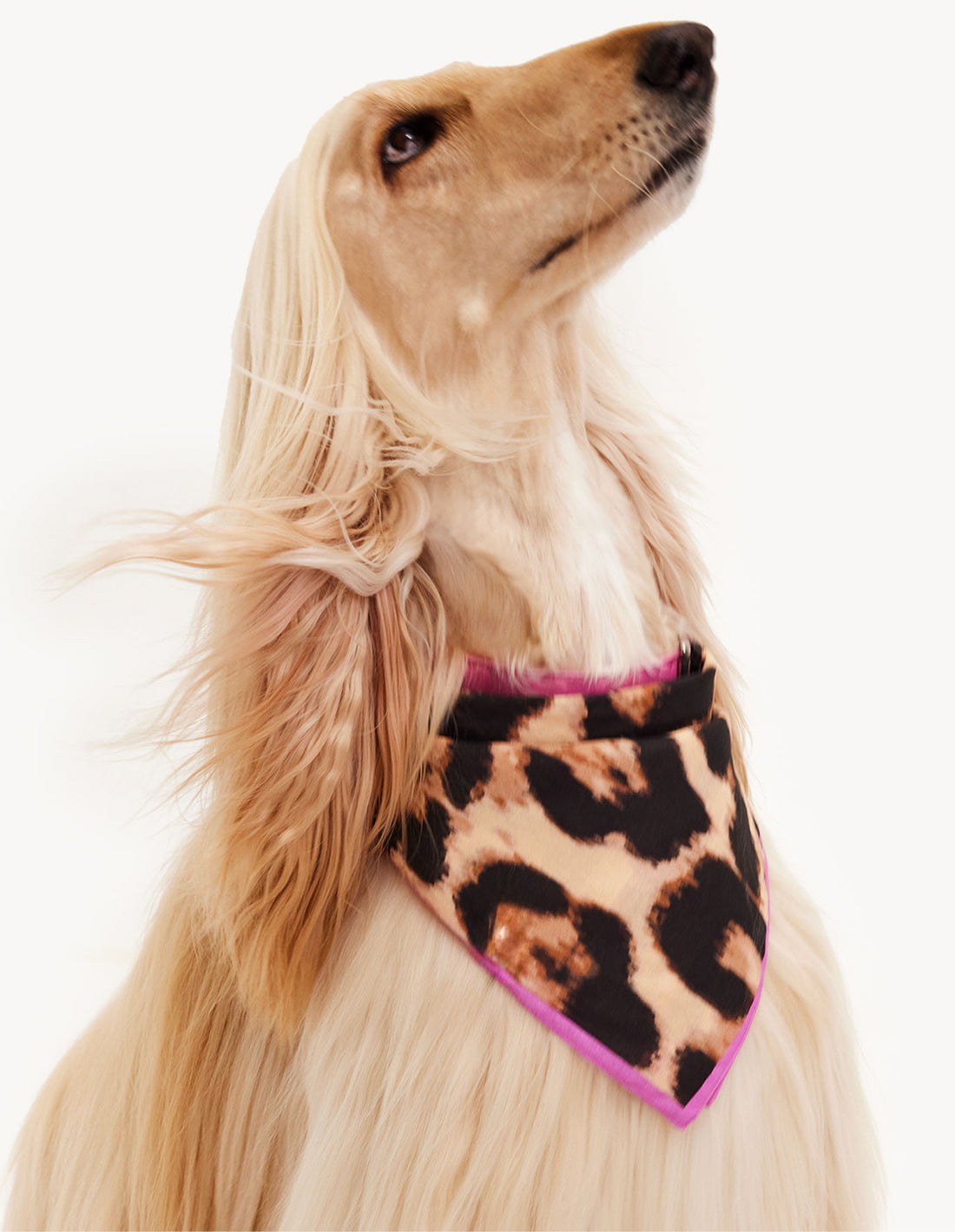 LEOPARD BANDANA - LEO / ROZE