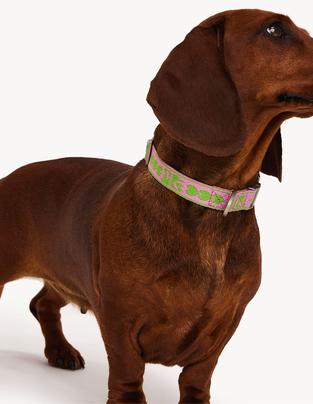 DL HALSBAND - GROEN / ROZE