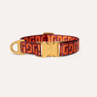 DG dog collar