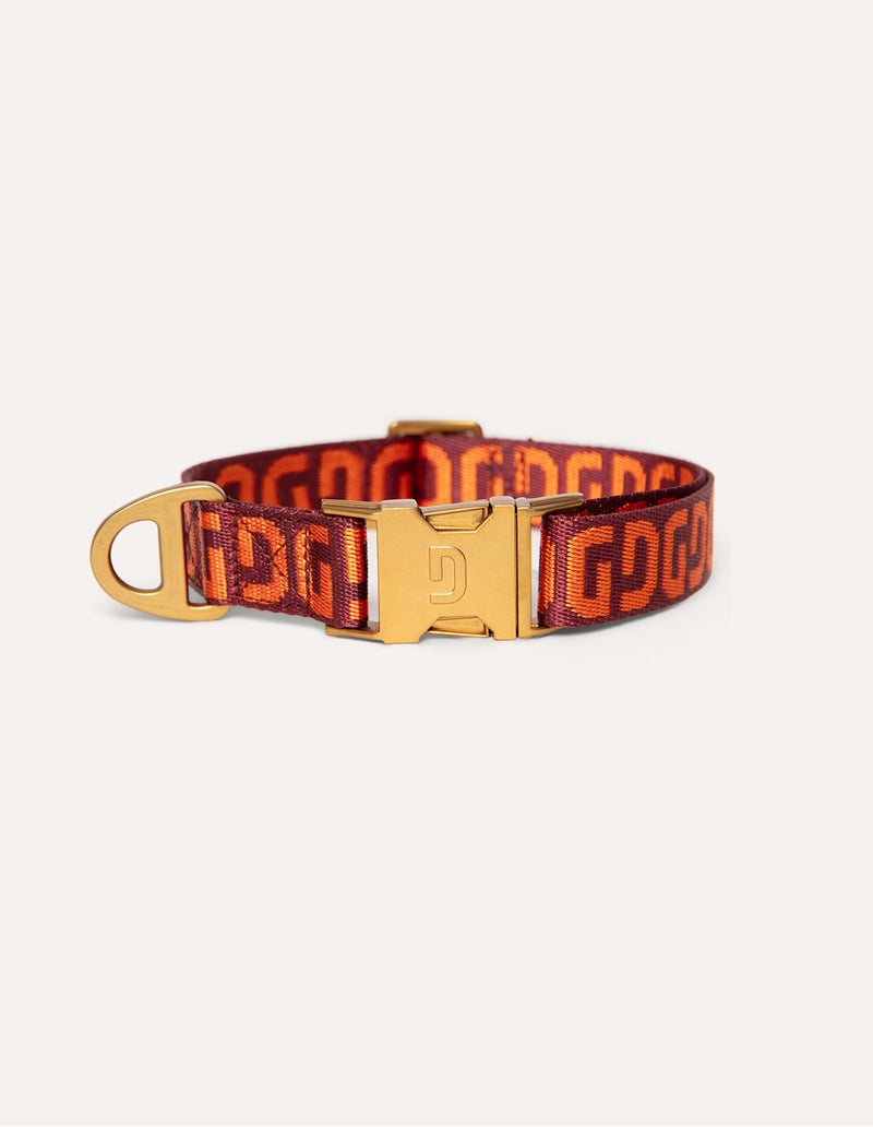 DG hondenhalsband - PRE ORDER - Verzending rond 23 december