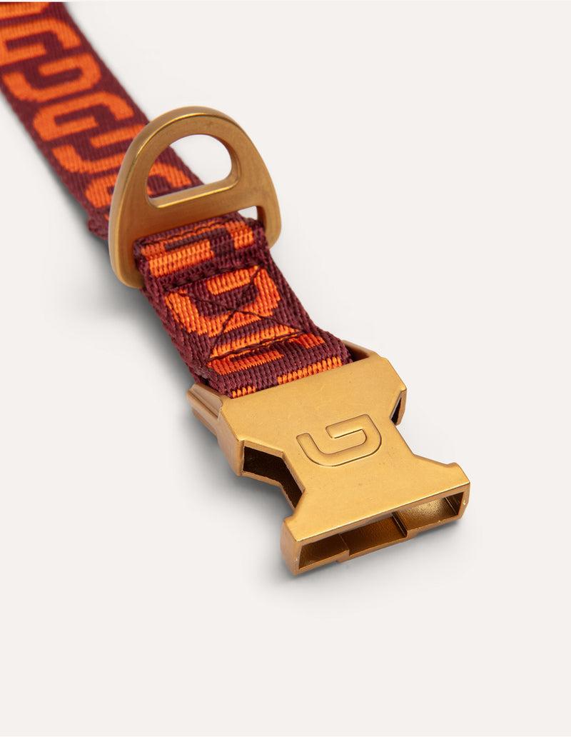 DG hondenhalsband - PRE ORDER - Verzending rond 23 december