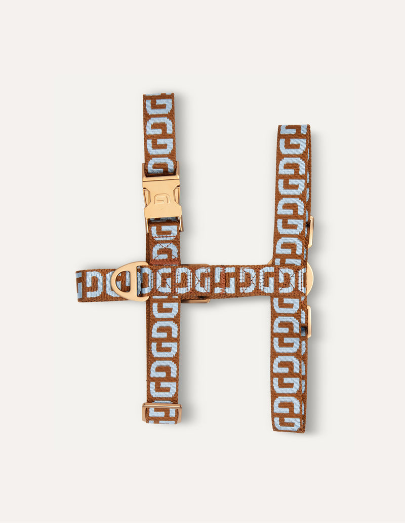 DG dog harness