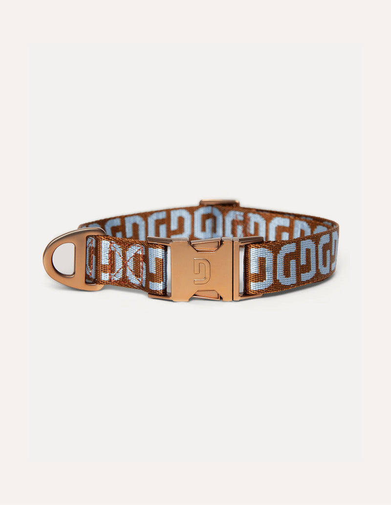 DG dog collar