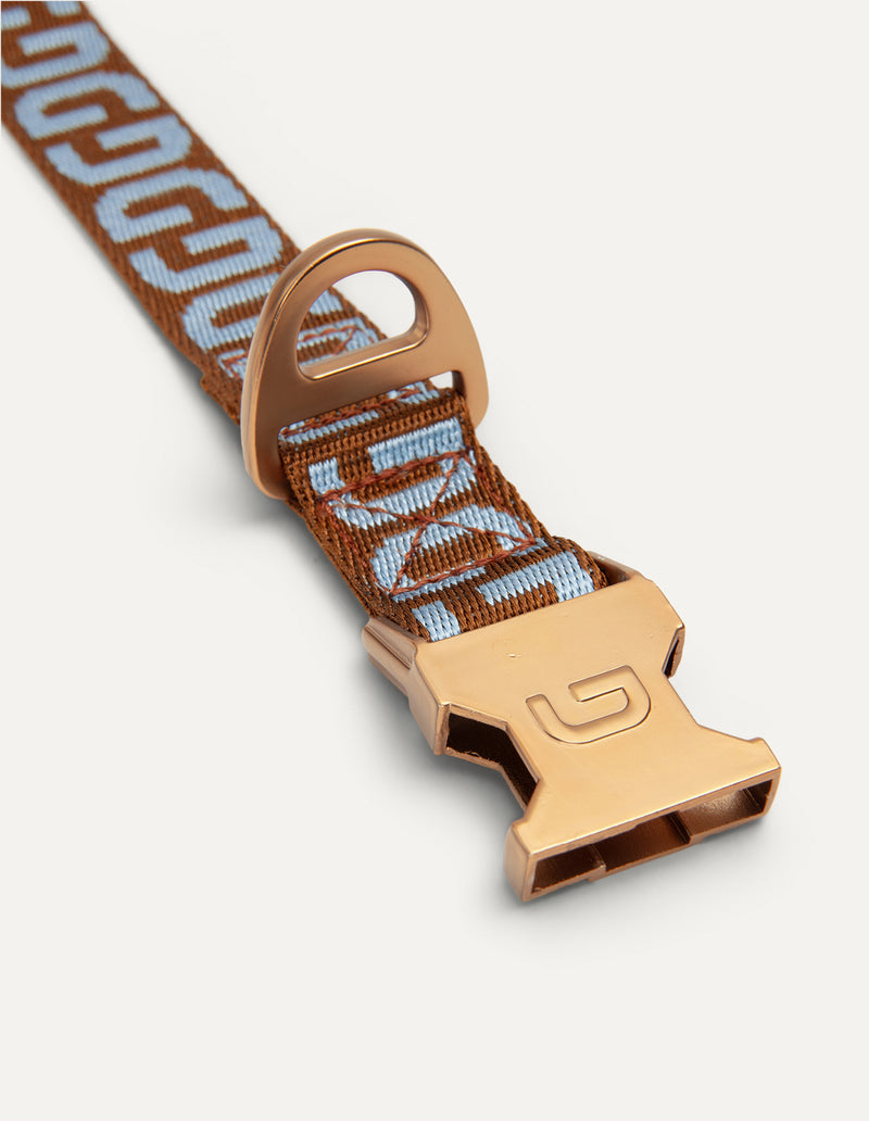 DG dog collar