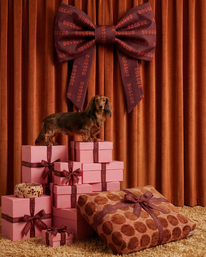 THE SEASON OF GIVING!