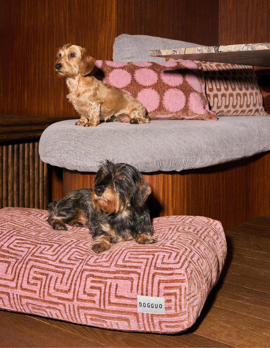 pink/mocha dog beds – Dogguo.com