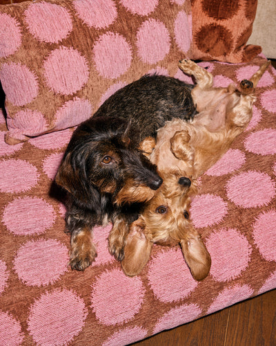 Stip hondenmand  second image