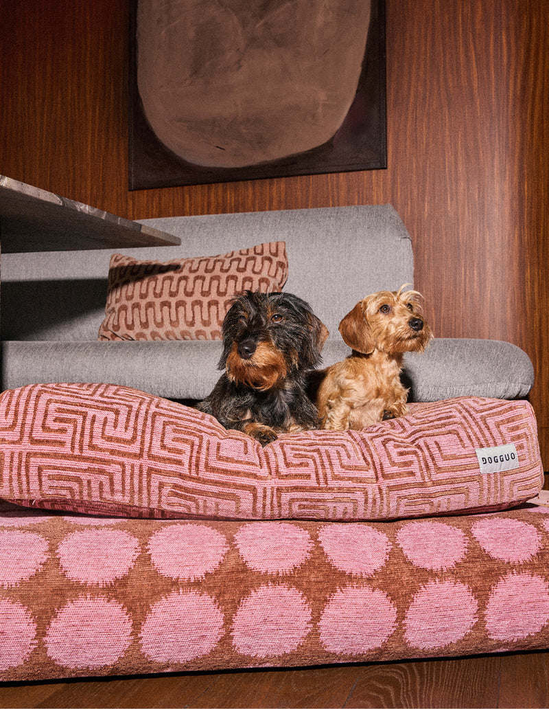 Maze dog bed