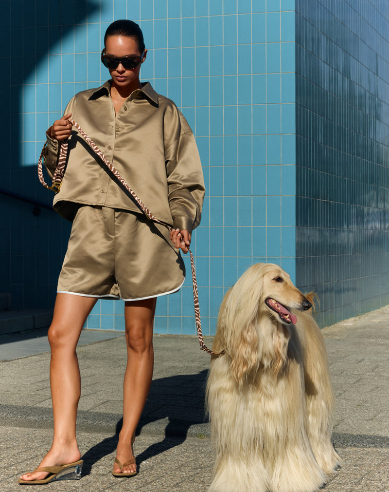 Ethnic dog leash