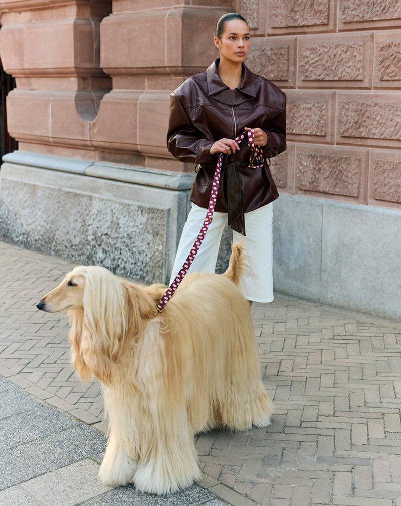 Dot dog leash