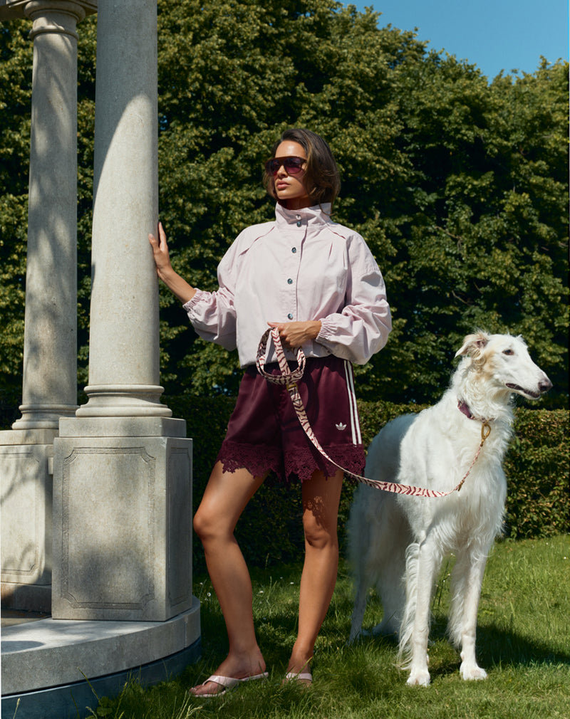 Laisse pour chien Ethnic