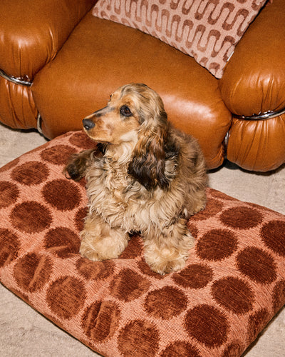 Dot dog bed second image