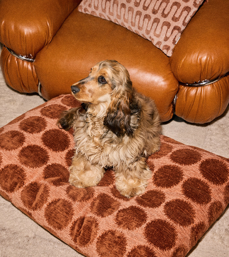 Dot dog bed