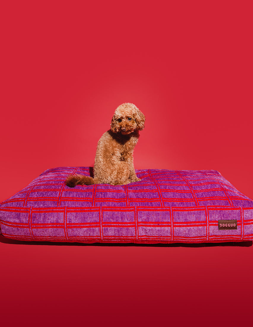 Foster and smith shop orthopedic dog beds