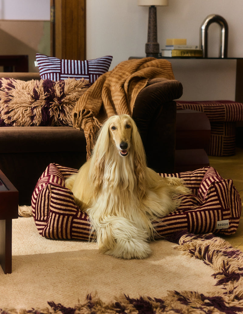 Urban weave sofa dog bed
